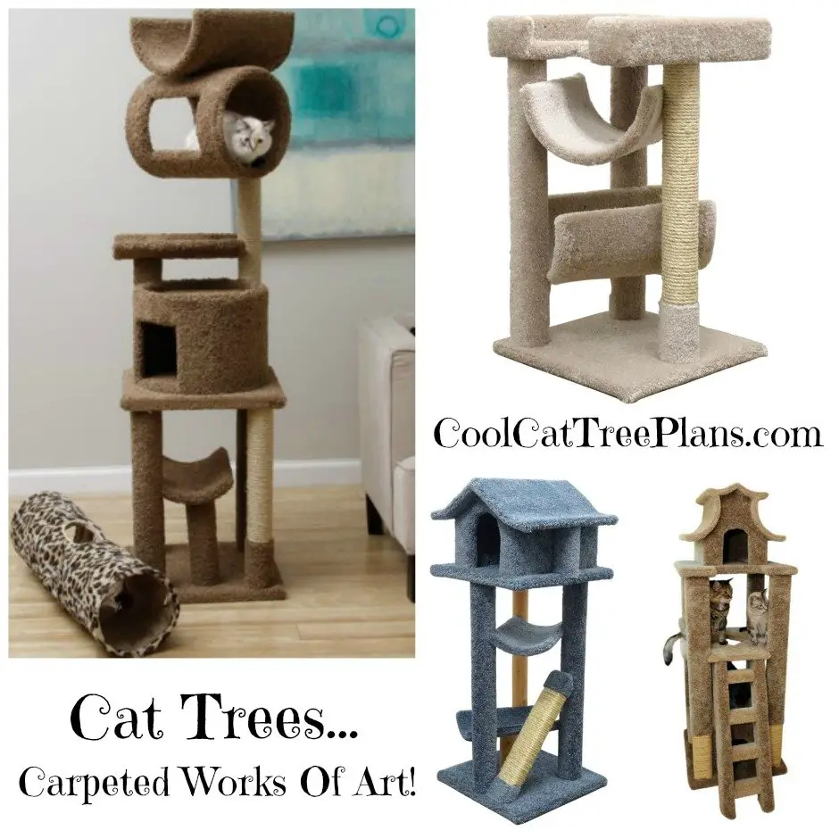 Cat trees carpeted works of art!