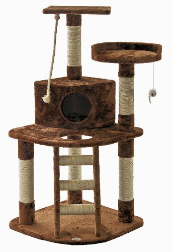 Brown Go Pet Club cat tree with ladder and condo box.