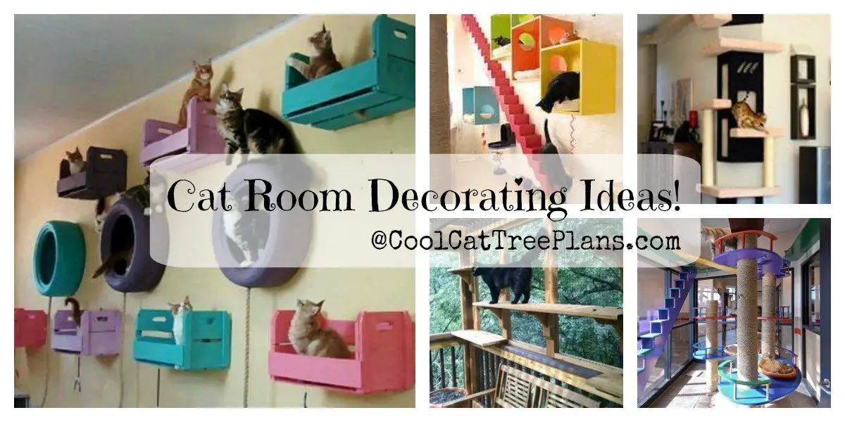 Cat Room Ideas For Making Unique Cat Trees & Play Areas.