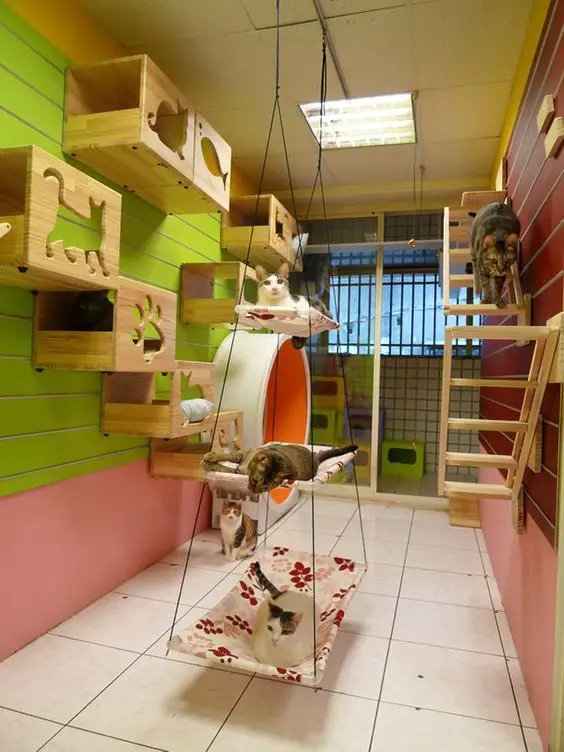 Cat Room Ideas Every "Crazy Cat Lady" Wants To Get Her Hands On Cool