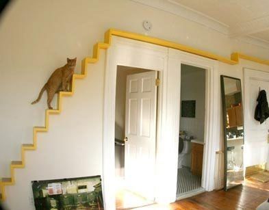 Yellow cat stairs and walkway added to room walls turns any room into a cat room.