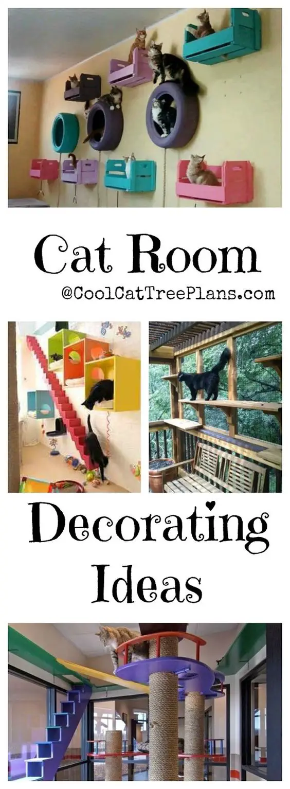 Cool cat room collage of other images on page for Pinterest.
