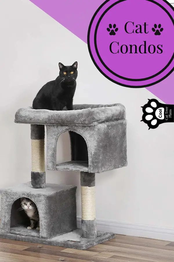 Kitties sitting on a two tiered cat condo