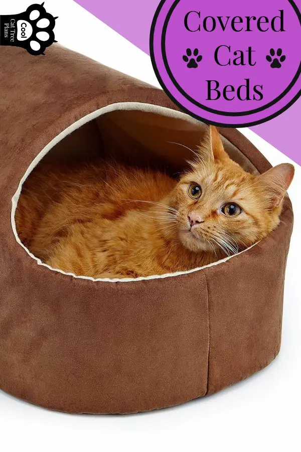 A cat lounging in a covered cat bed!