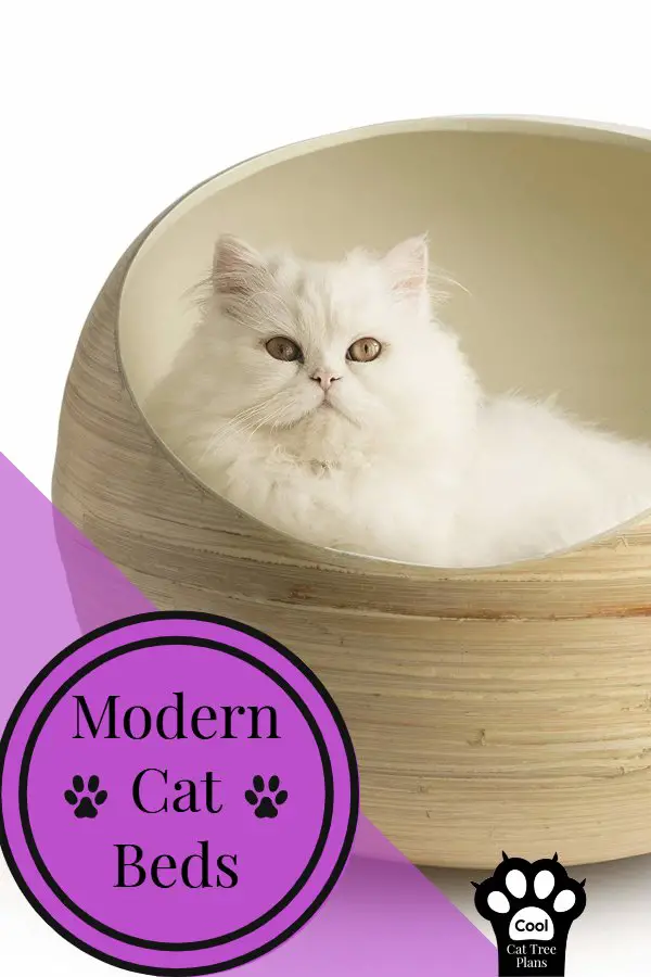 A modern bamboo bowl cat bed