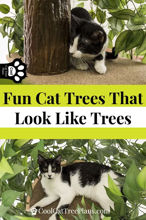 Cat Tree That Looks Like A Tree