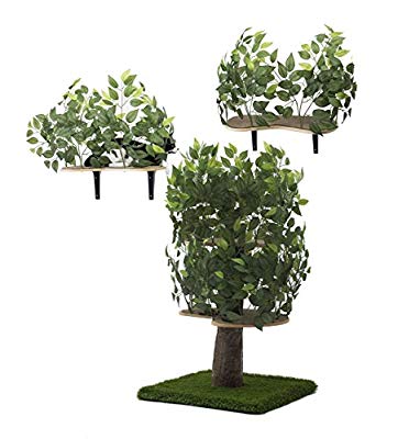 Realistic Cat Tree Wall Bundle With Leaves.