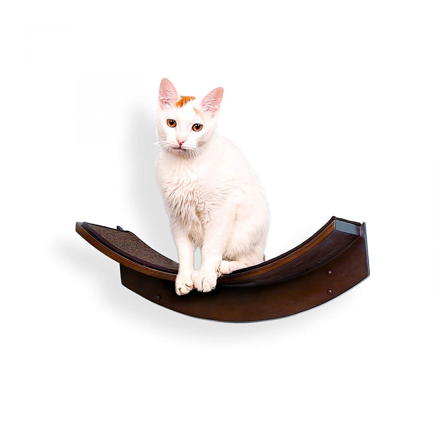 Curved Mahogany Cat Shelf With Replaceable Carpet - Looking for the best shelving for cats?  This wall mounted cat perch has real CLASS! Great for large cats & small spaces. 