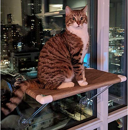 When it comes to cat shelves for window sills this "Wireless large cat window perch" takes the cake.  Super cool!