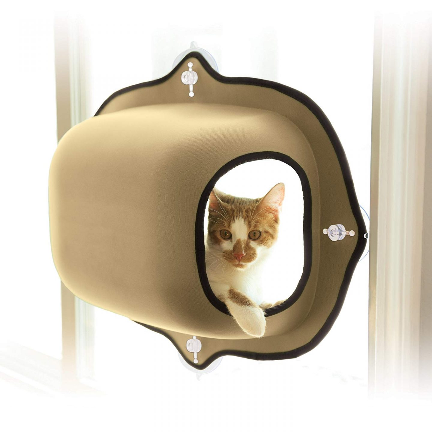 An enclosed window mounted cat pod.  I'm not sure how I didn't know about kitty pods sooner, but these are way to cool!