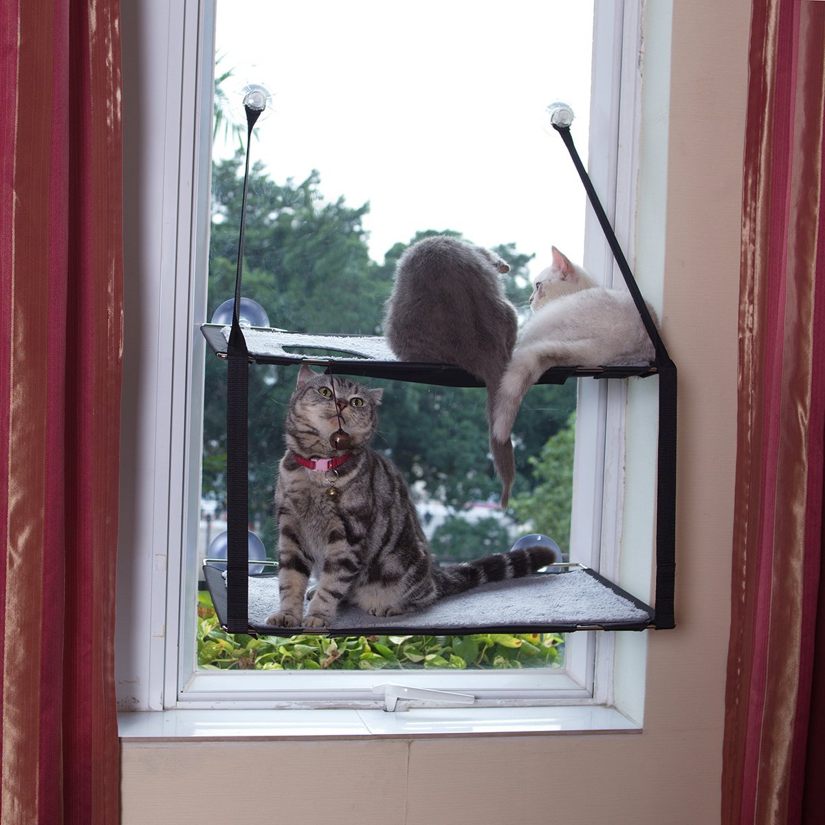 A double decker window sill hanging cat cubby.  A cat cubby!  In a window!  C'mon, that's just so spiffy.