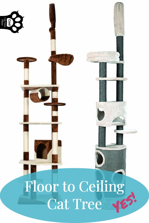 Floor To Ceiling Cat Tree - Featuring a Tension pole cat tree, cat tree narrow base, cat tree small footprint and a slimline cat tree. MODERN and STABLE.
