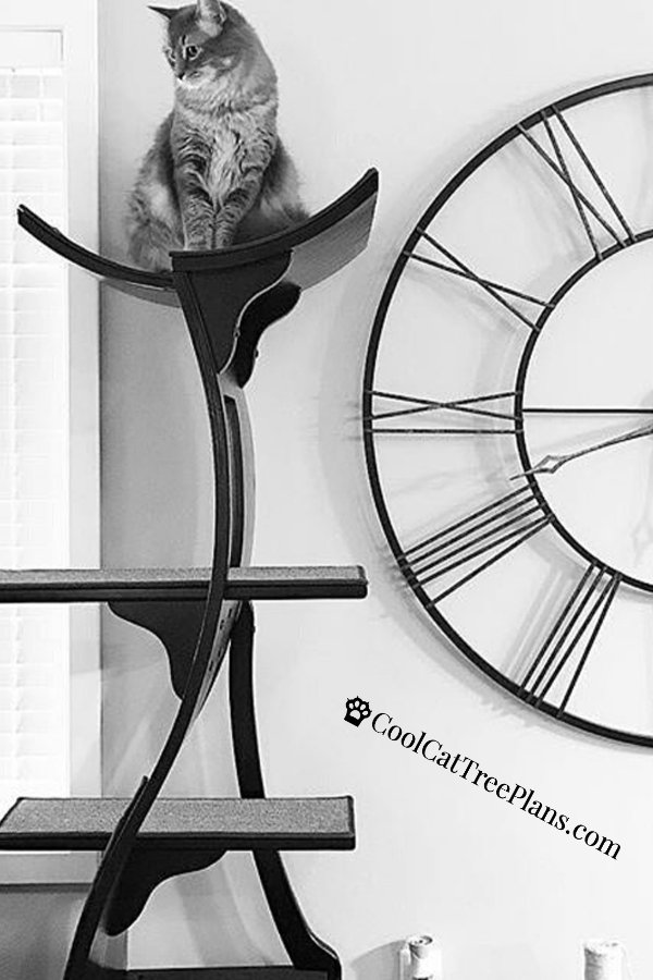 Cleopatra Cat Tree - Check out this elegant Cleopatra cat tree and cat shelf system (also known as the Refined Lotus Cat Tower) It's super stylish with is S-curve design. Easy to clean and modern doesn't collect hair. How COOL is that?