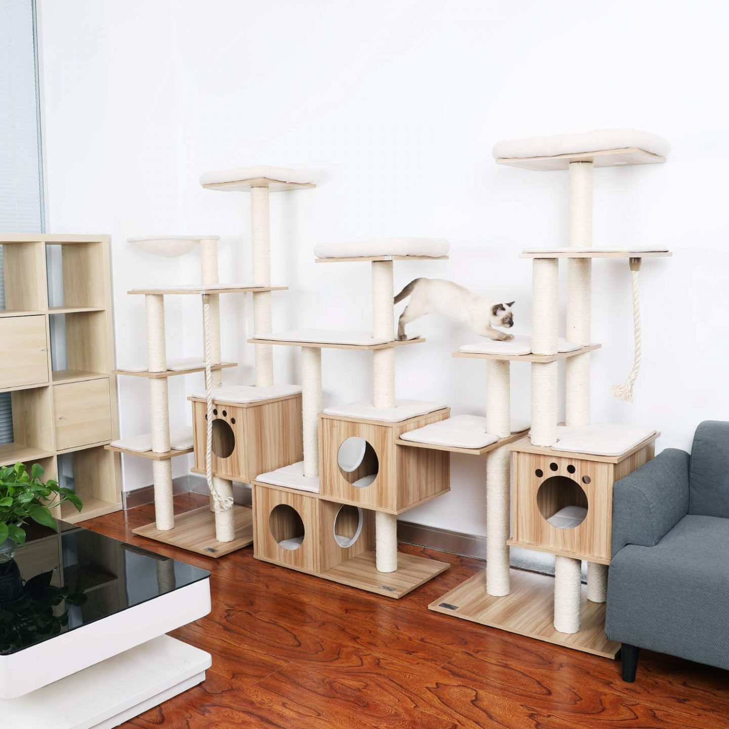 Wood Cat Tree No Carpet - Did you think wooden cat trees NO CARPET were just a dream? Think Again. These affordable models don't collect pet hair, are easy to clean and combine to make a cat playground. AWESOME