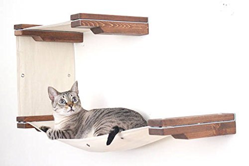 This is a double decker fabric hammock cat shelf from CatastrophiCreations.