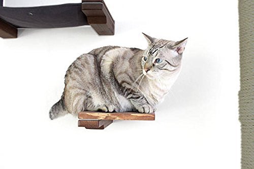 A teeny tiny cat shelf step to make a modern cat wall jungle gym of you and your cats dreams.