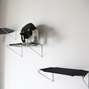 A side angle of the cat wall shelves, set of 3 with a happy cat hanging out on them.
