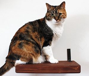 A wooden cat wall shelf with an english chestnut finish, this make it go well with classically designed decor.