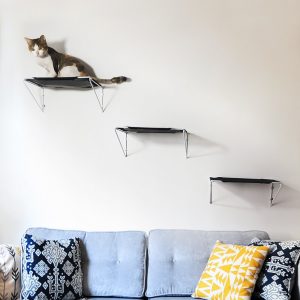 These cat hammock perches can be used above a couch like steps to create a great space up high for them.