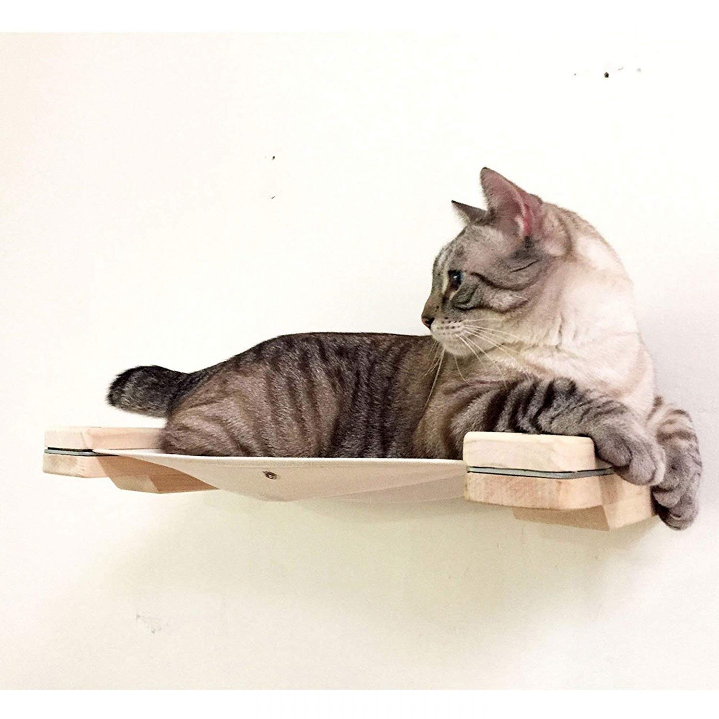 A cheap cat wall hammock that's handmade from CatastrophiCreations.