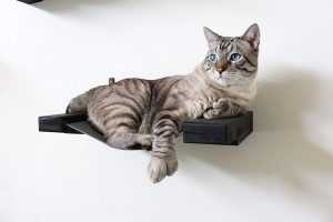 This cat shelf hammock comes in an onyx black finish, which goes really well with modern decor.