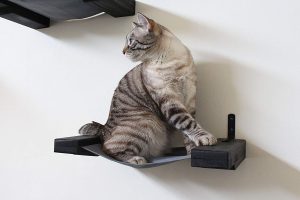 A cat wall hammock with an onyx black finish.