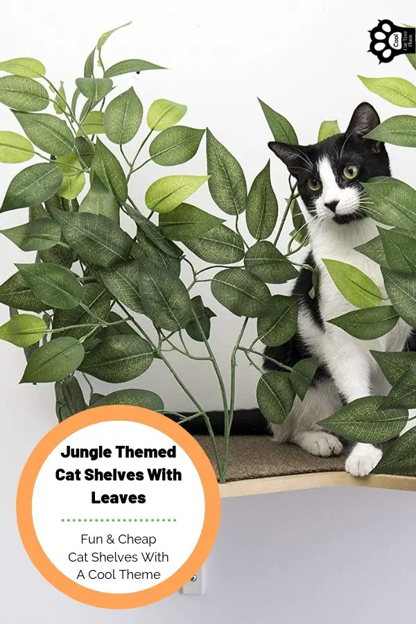 Jungle themed cat shelves with leaves can really help with your cats health and happiness in the long run, helping them work off their base instincts and hide away in the leafy canopy.