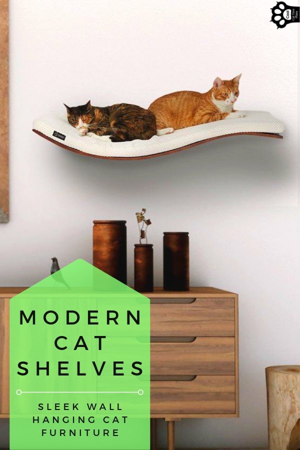 Modern cat furniture shelves come in a variety of shapes and sizes!  They can be cozy for your kitty while still matching your decor.