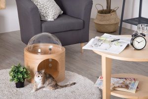 The Spaceship Gamma can be used as a modern cat furniture bed as well as a cat wall shelf.