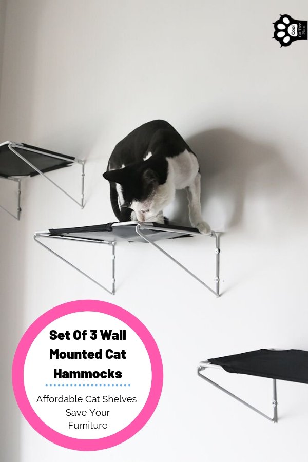 A set of 3 wall mounted cat hammocks can really help you catify your space quickly. Theses cat wall shelves are cheap and effective too!