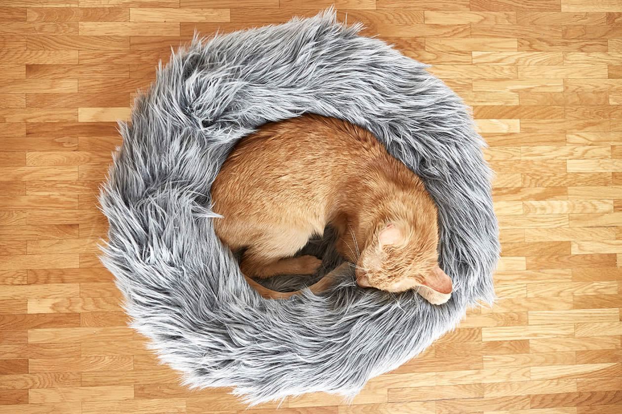 A super fluffy designer cat bed from Tuft + Paw.