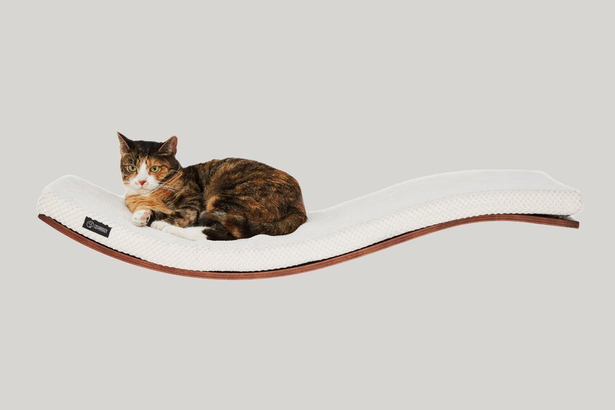 Minimalist cat shelf from Tuft + Paw with a cotton blend cushion for ultimate kitty comfort.