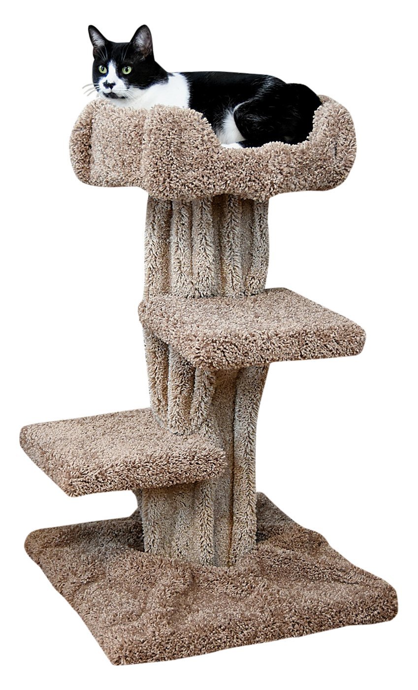 This is a carpeted cat tree that looks like a tree and is suitable for large cats. Large cats would love this cat tree, I really do think.