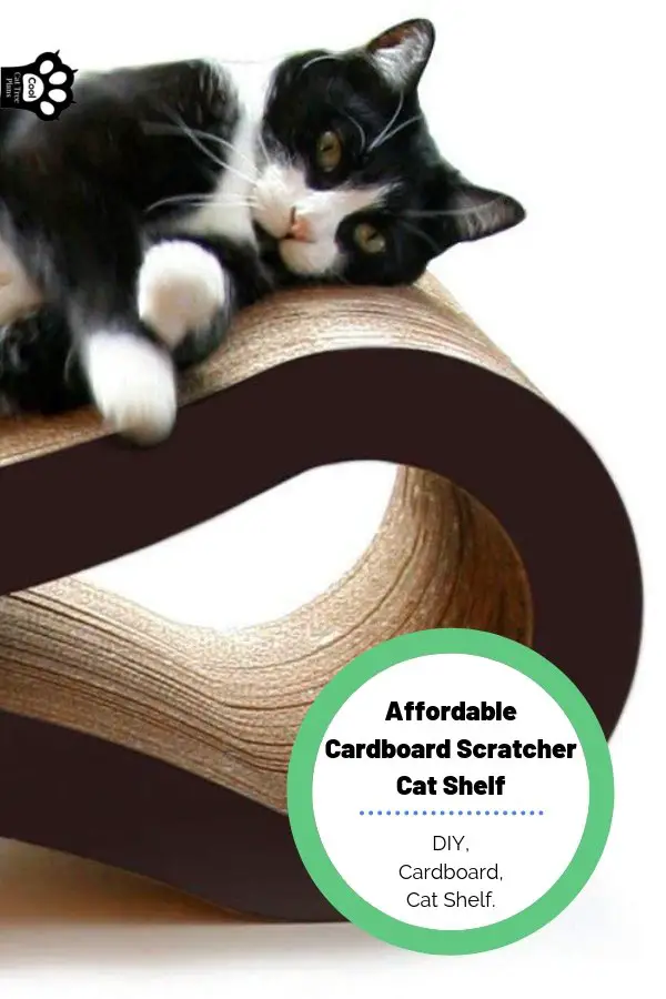 A DIY affordable cardboard scratcher cat shelf that you can do at home with just a few supplies.