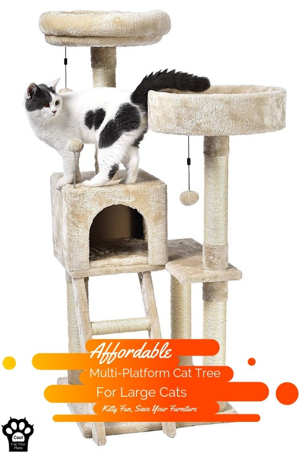 Tall cat tree for large cats, this affordable cat tree is tall and has multiple platforms for them to hop around on.
