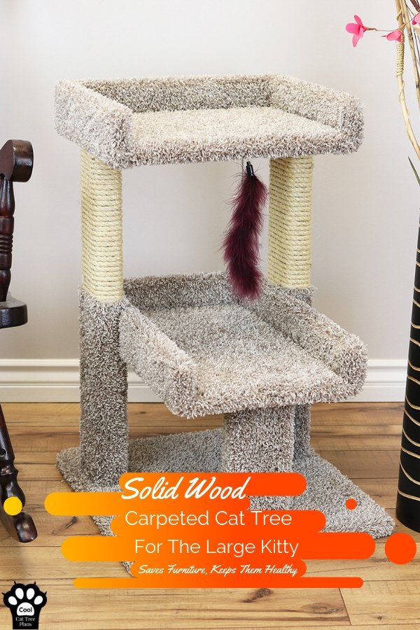 A cheap solid wood carpeted cat tree from New Cat Condos, made in the USA.