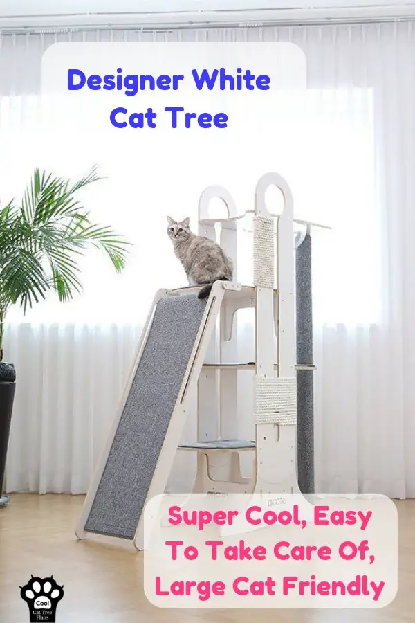 A designer cat tree that's just a bit extra but is worth the price you pay. It's super stable, sturdy and has a ton of cool features.
