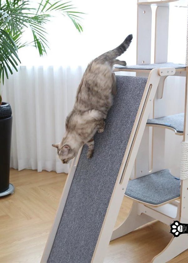The ramp on this cat tree is 42" tall, giving cats an excellent alternative to the usual method of climbing.