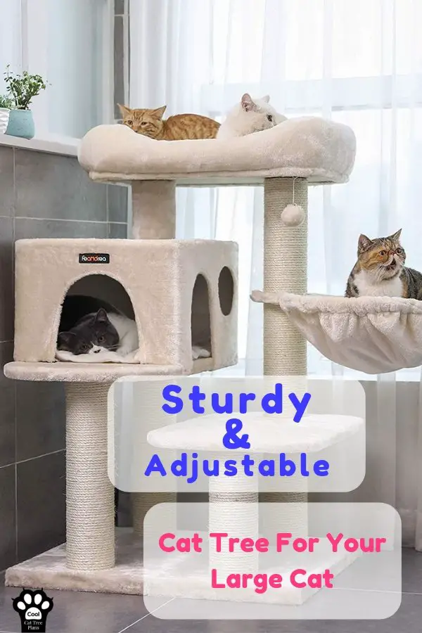 A sturdy adjustable beige carpeted cat tree for large cats.  Carpeted cat tree for big cats, personalizable cat tree, carpeted cat furniture.