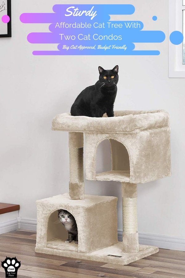A sturdy affordable cat tree with two condos is a great way to give your cat their own space.  Cat tree for large cats, cat condo for large cats.