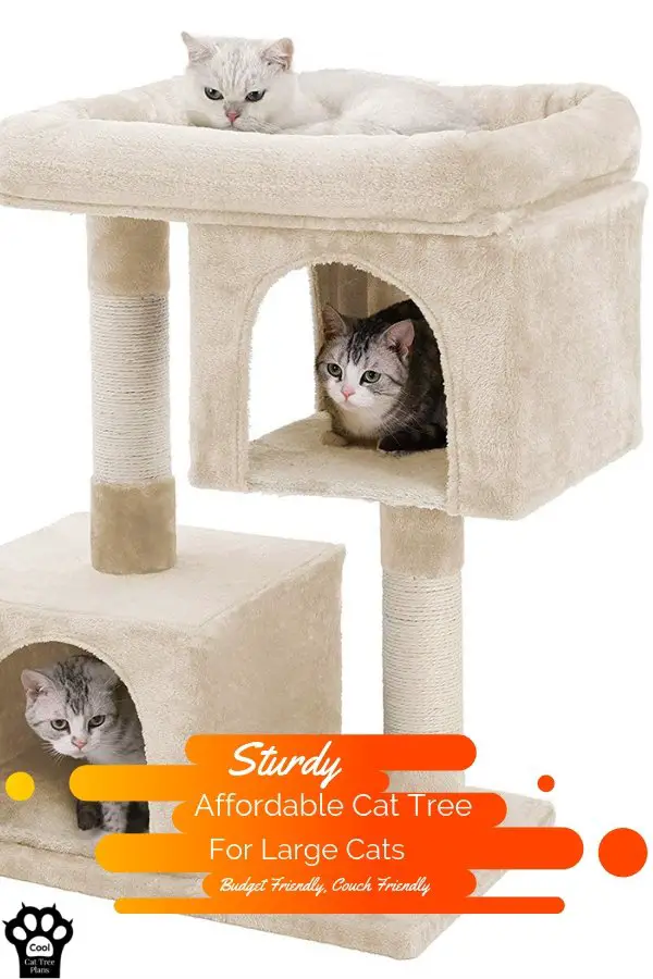 A sturdy cat tree from Feandrea, it's a sturdy affordable cat tree with two condos.