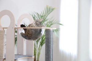 This designer cat tree for large cats has a crystal cat hammock.