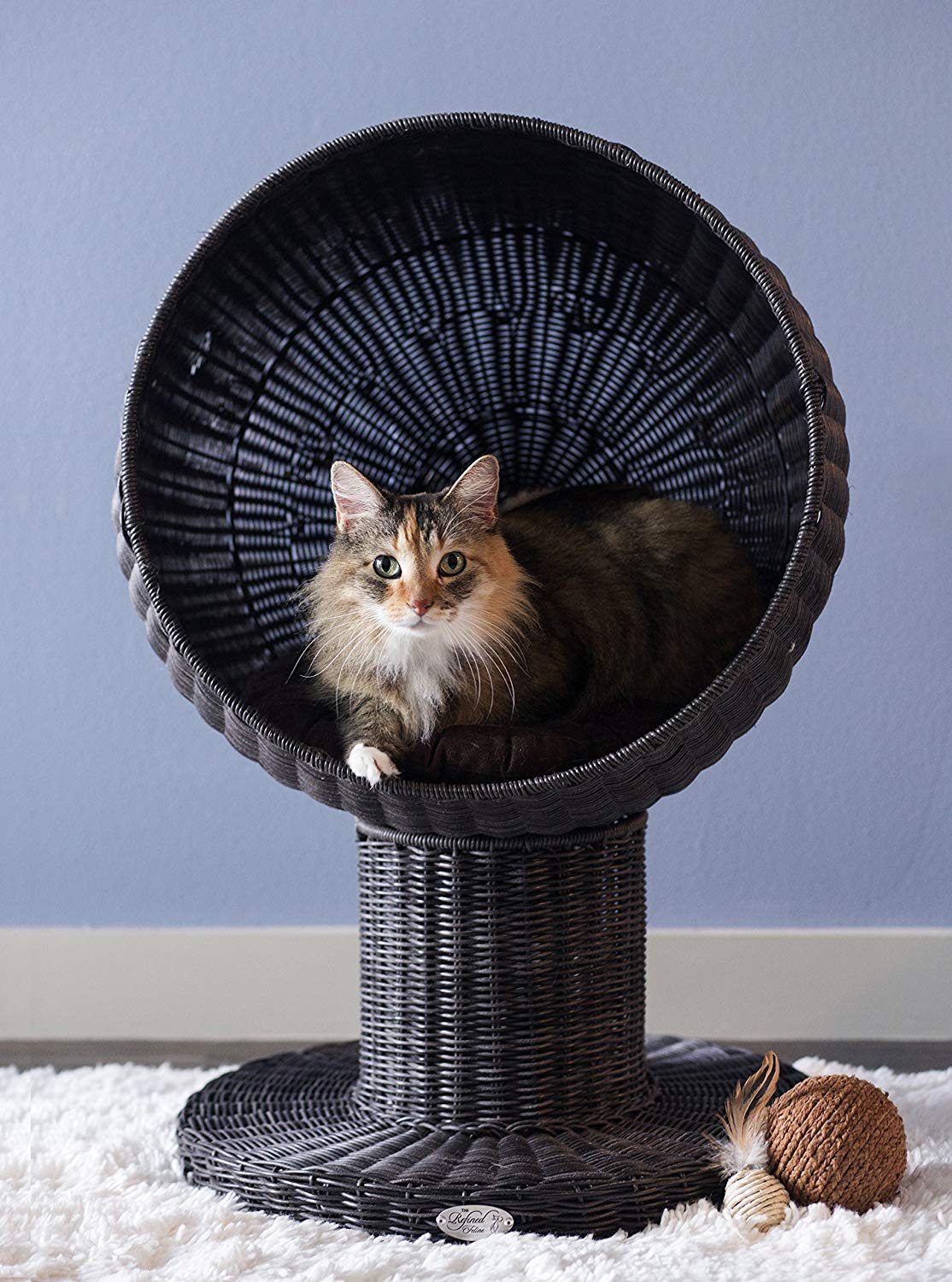 The refined feline kitty ball cat bed/cat tree.  It's a lovely elevated space for your cat to curl up and enjoy themselves.  Large cat and senior cat friendly.