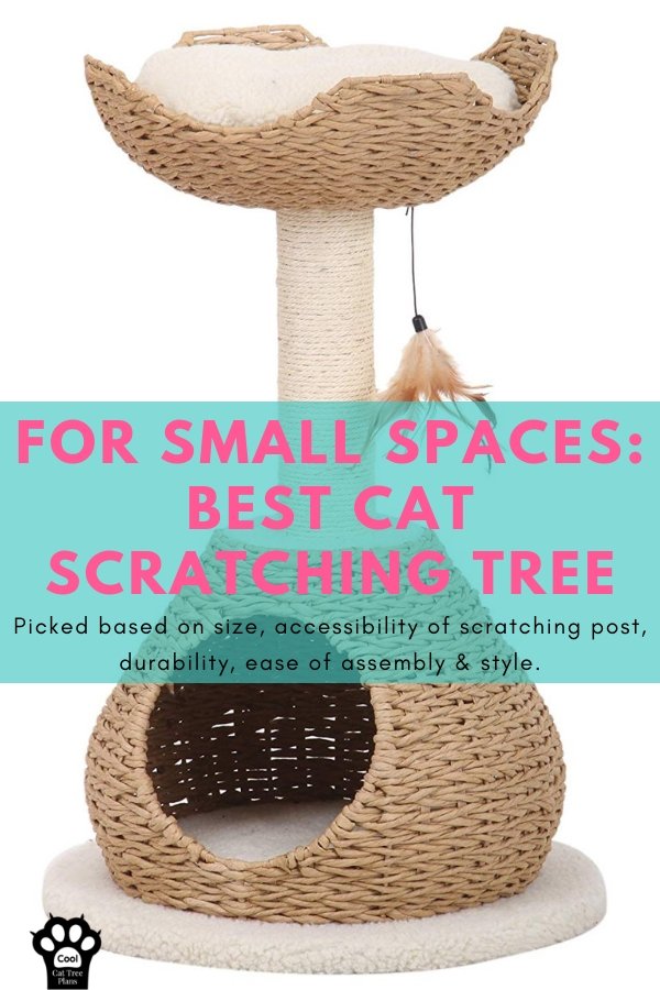 For small spaces: best cat scratching tree.  Picked based on size, accessibility of scratching post, durability, ease of assembly & style.