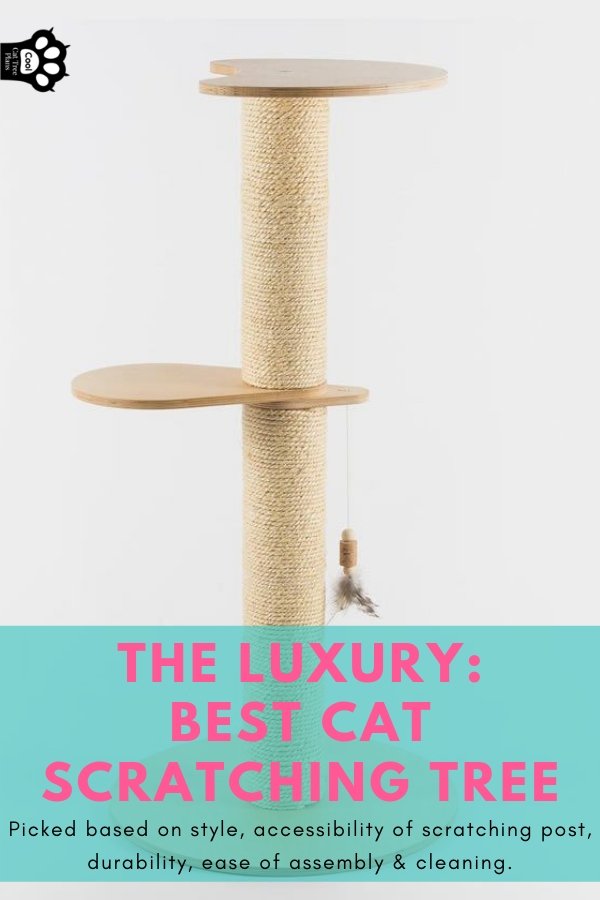 The Luxury: best cat scratching tree.  Picked based on style, accessibility of the central scratching post, durability, ease of assembly & cleaning.