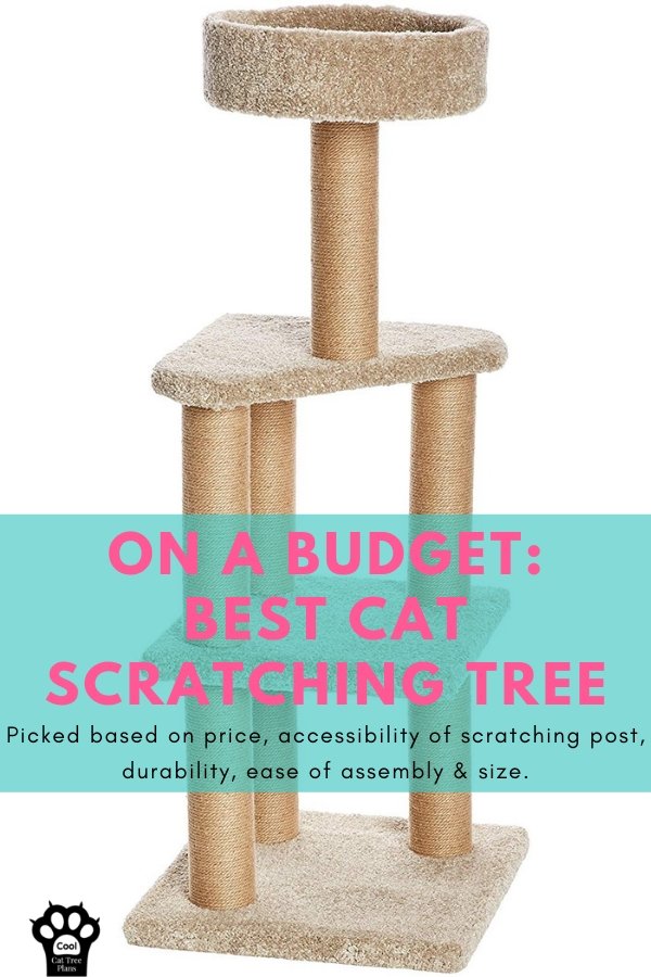 On a budget: best cat scratching tree. Picked based on price, accessibility of scratching post, durability, ease of assembly & size.