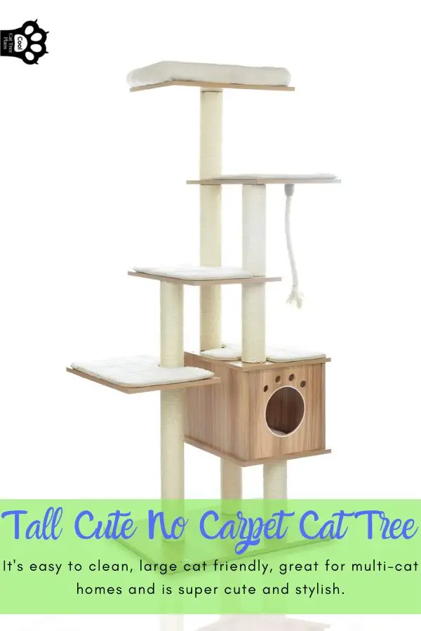 This tall cute no carpet cat tree is easy to clean, large cat friendly, great for multi-cat homes and super cute and stylish.
