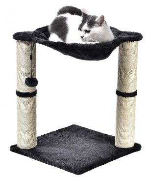 Amazon basics small and affordable cat tree for apartment dwellers and condos.