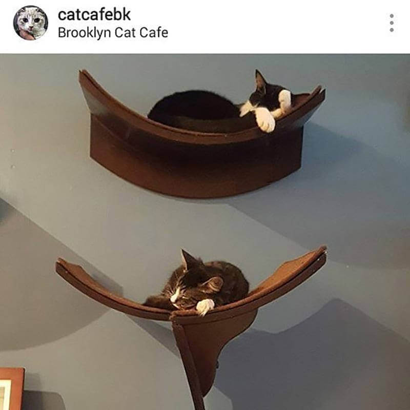 The refined feline Cleopatra Cat Tower paired with it's cat shelf sibling, the Leaf.