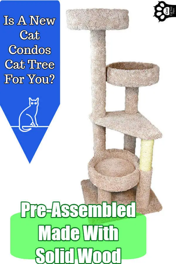 Is a New Cat Condos Cat Tree right for you? If you need a really sturdy cat tree, one that can handle multiple cats or fit into a small of narrow space, then, yes. I'd recommend these. Plus, almost all of them come pre-assembled.